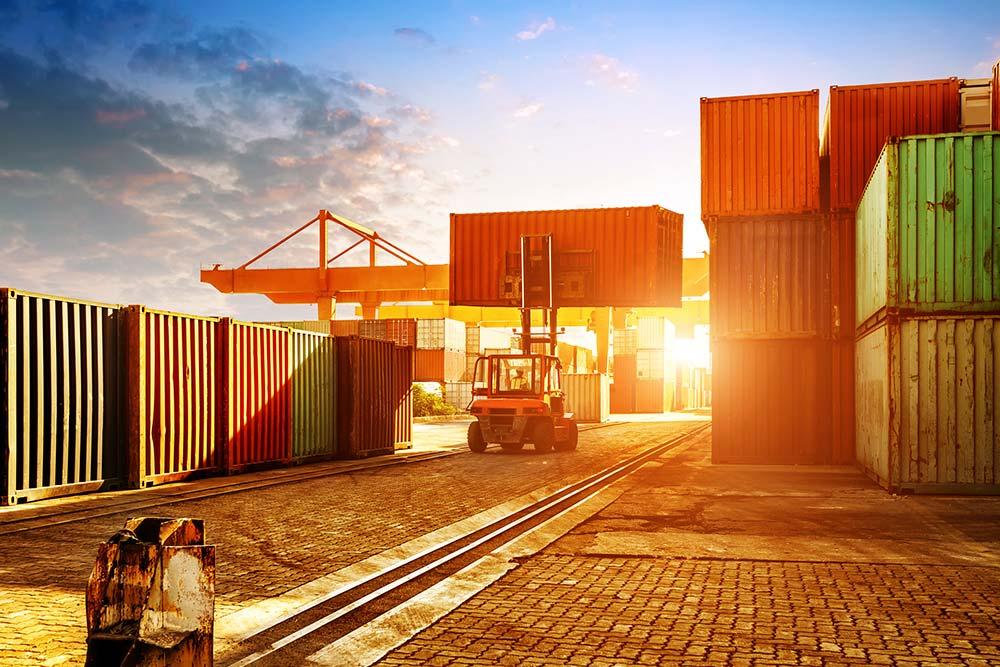 ד"ר מלגזות ד"ר מלגזות