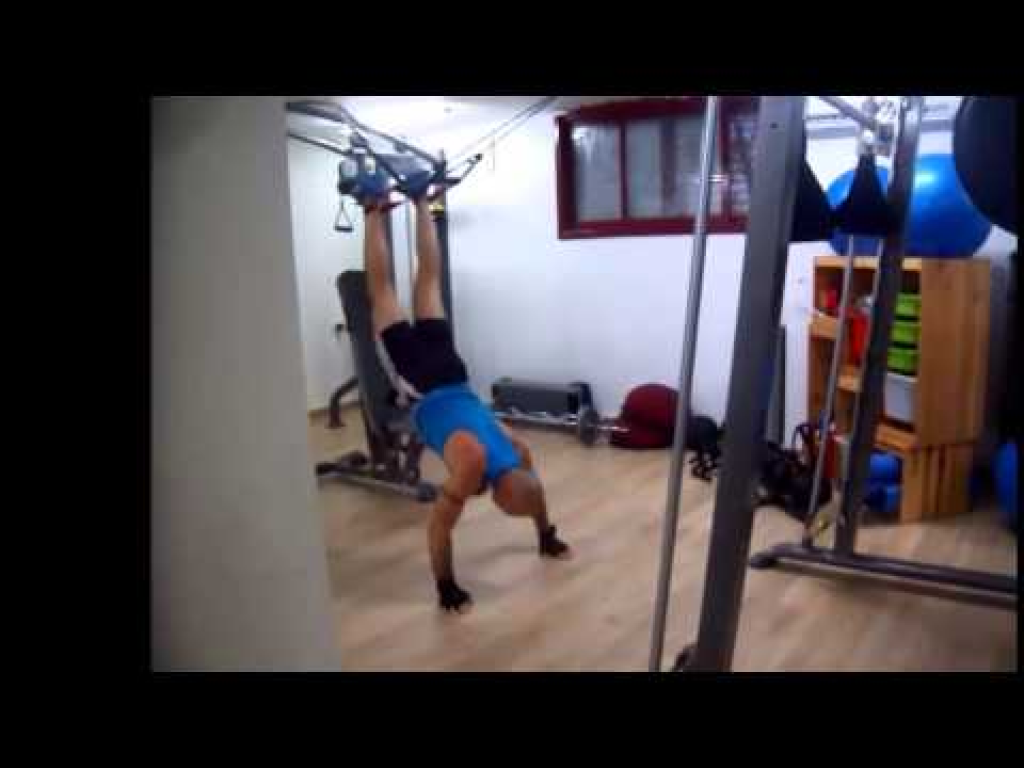 אמיר מאיר Kosher 4 life אמיר מאיר Kosher 4 life