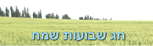 פאנץ ליין אבזרי אופנה