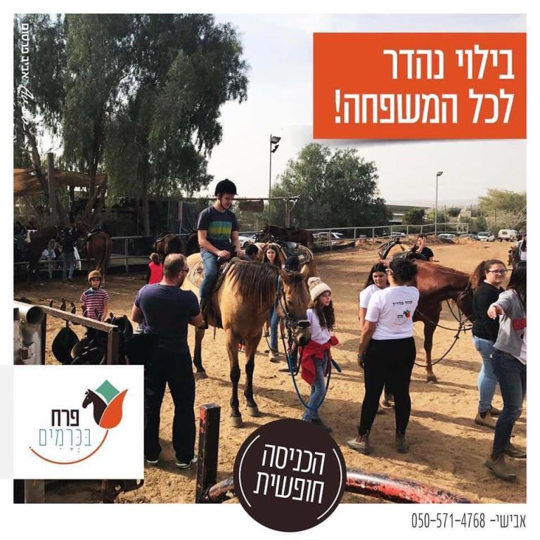 חוות סוסים פרח בכרמים חוות סוסים פרח בכרמים