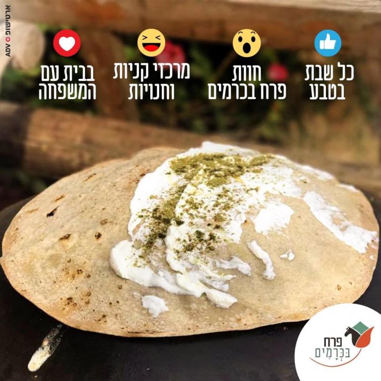 חוות סוסים פרח בכרמים חוות סוסים פרח בכרמים