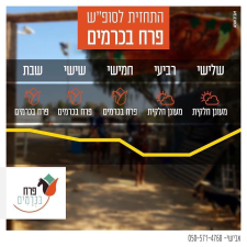 חוות סוסים פרח בכרמים