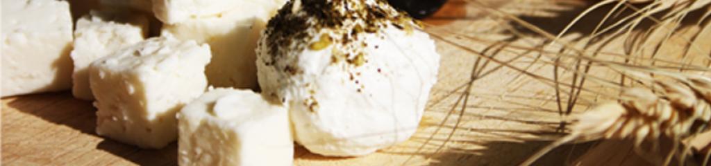 הגבנייה הגבנייה