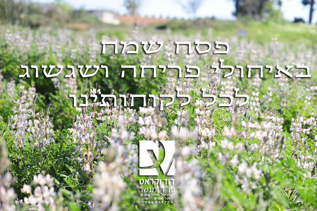 דוד וקראט משרד עורך דין דוד וקראט משרד עורך דין