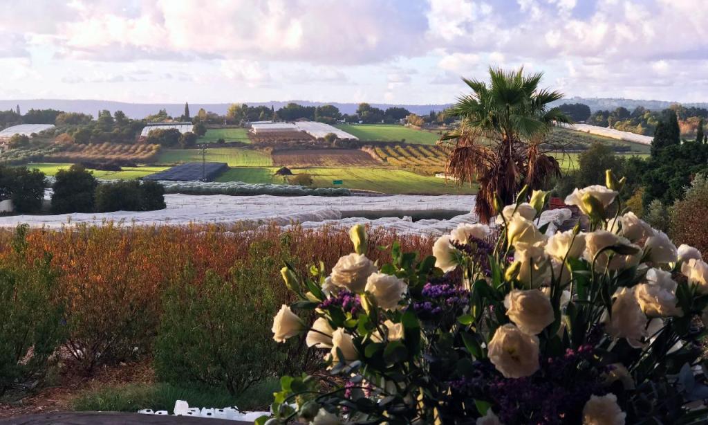 יוגה במרכז יוגה במרכז