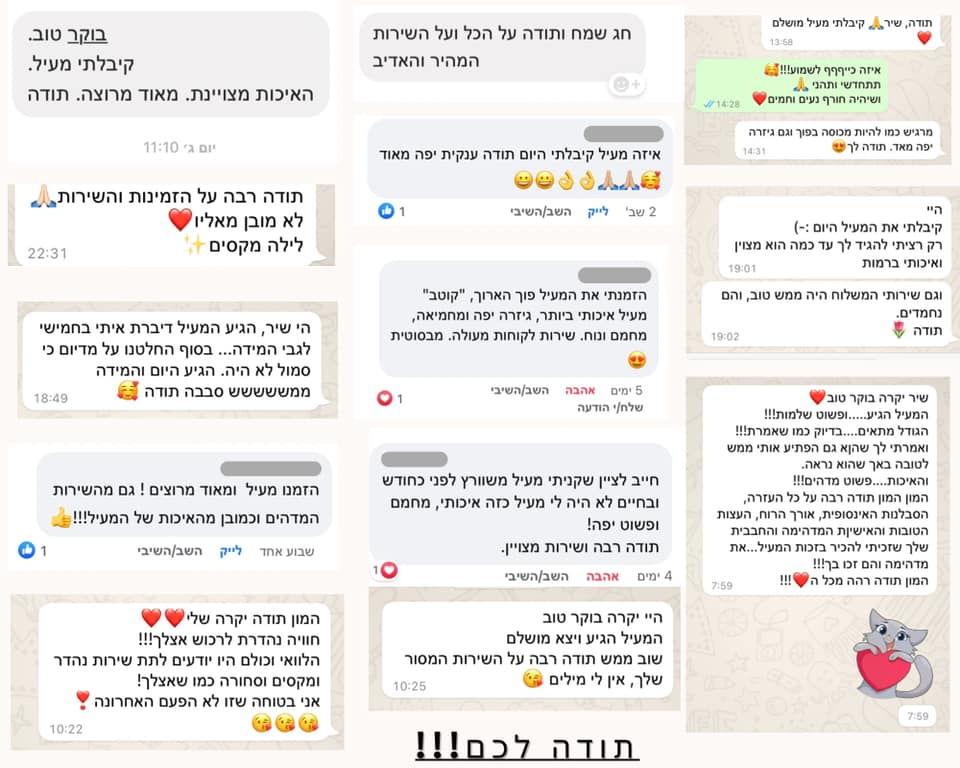 סגולה בגדי מעצבים סגולה בגדי מעצבים