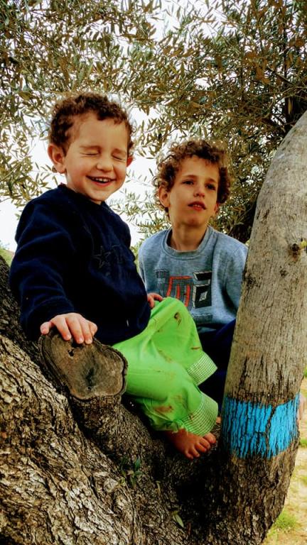 חוות סוסים הבית של יעל חוות סוסים הבית של יעל