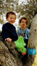 חוות סוסים הבית של יעל