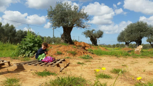 חוות סוסים הבית של יעל