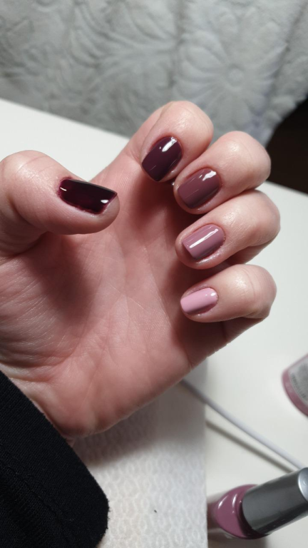 ליטל יפרח ליטל יפרח