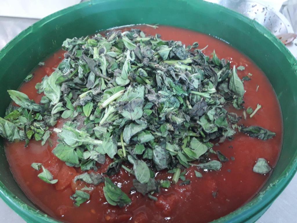 פיצה טריילר פיצה טריילר