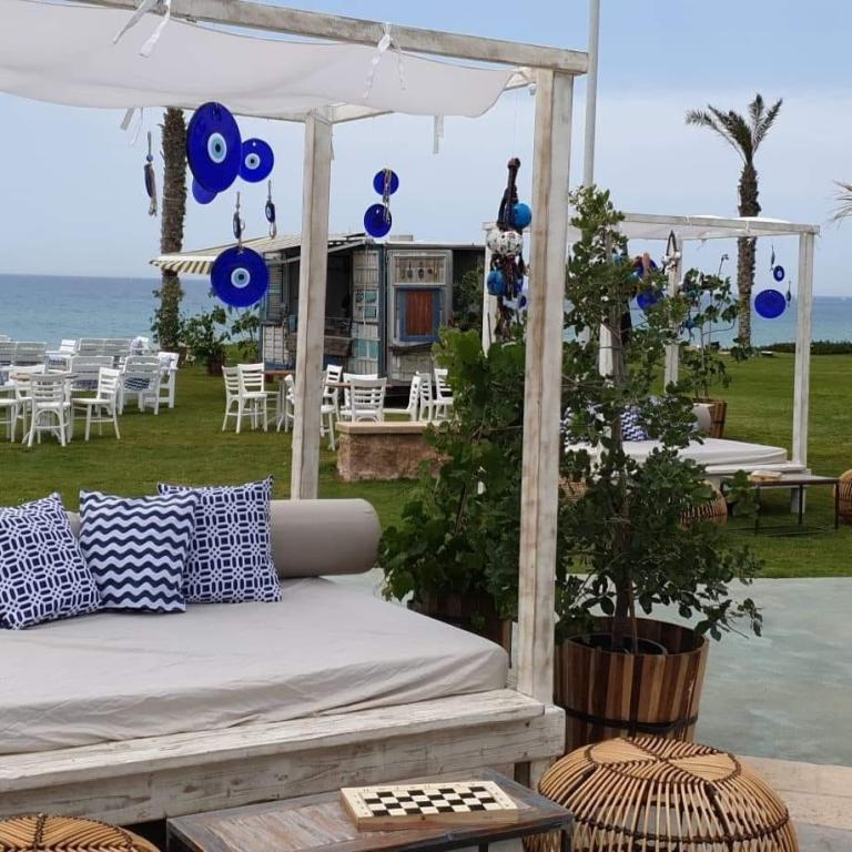 עיצובים צומחים עיצובים צומחים