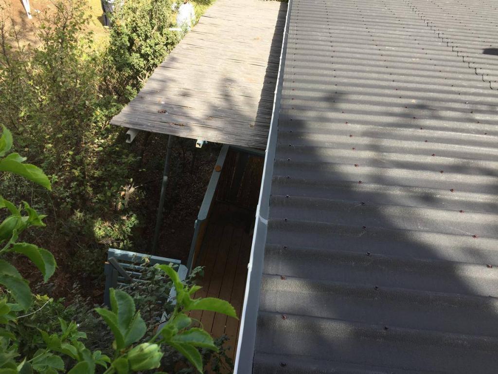 אונדולין ישראל אונדולין ישראל