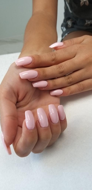 ביוטי איריס ביוטי איריס