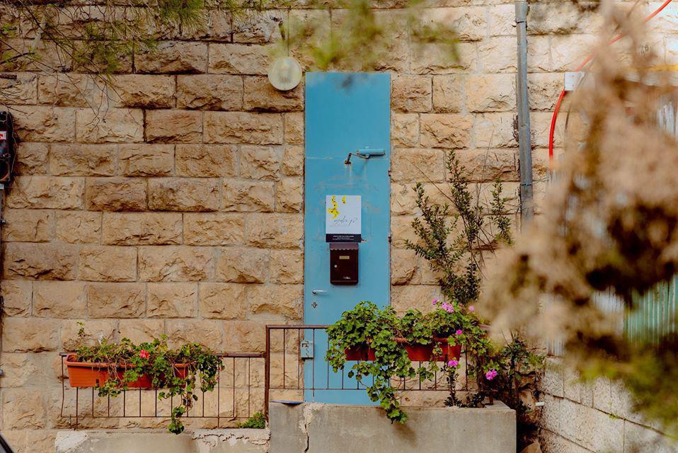 בין האורנים בין האורנים