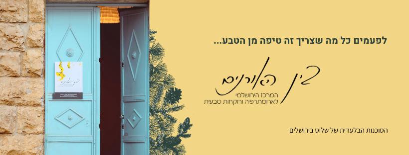 בין האורנים בין האורנים