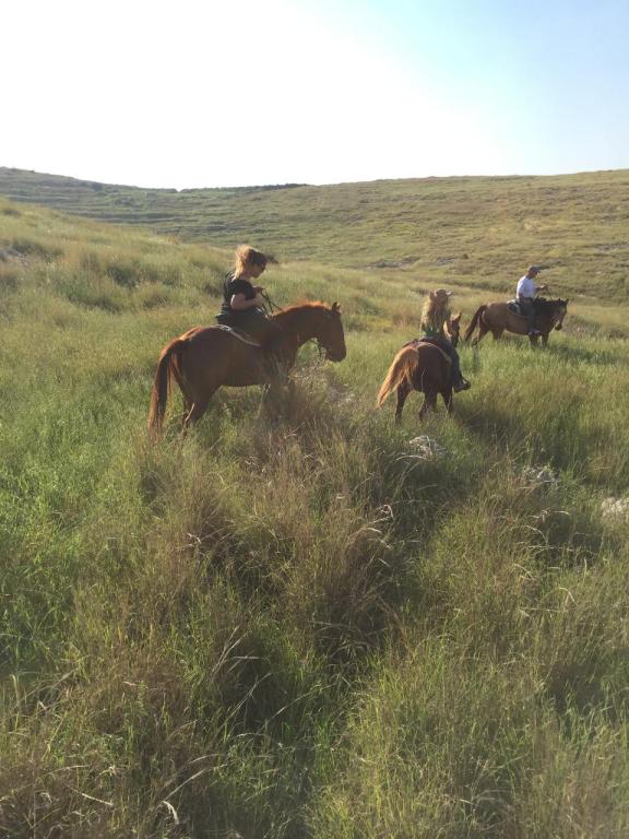 חוות תות חוות תות