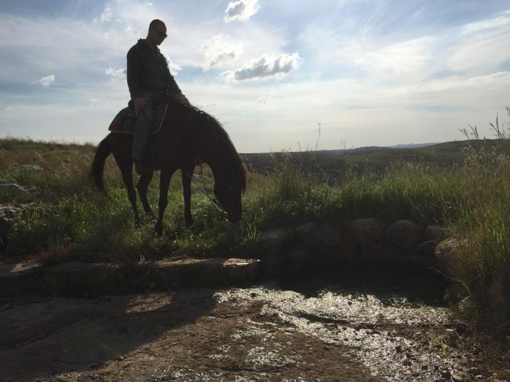 חוות תות חוות תות