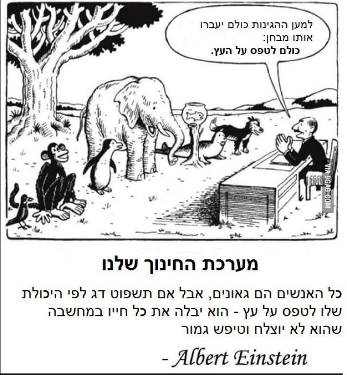 אדווה בן שחר אדווה בן שחר