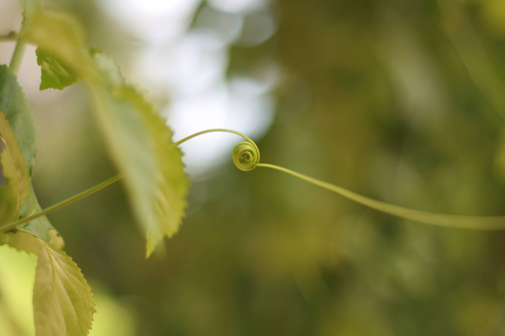 אדווה בן שחר אדווה בן שחר
