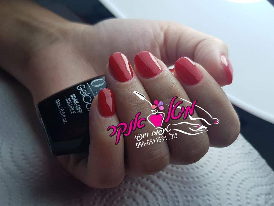 מיטל אנקר טיפוח ויופי מיטל אנקר טיפוח ויופי