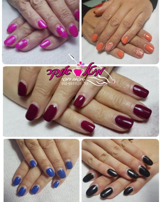 מיטל אנקר טיפוח ויופי מיטל אנקר טיפוח ויופי