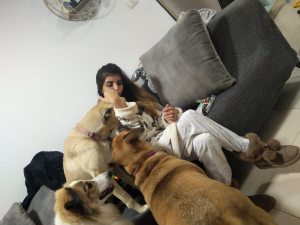 Kim's dog's