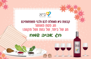 קבוצת גיא מסגרות