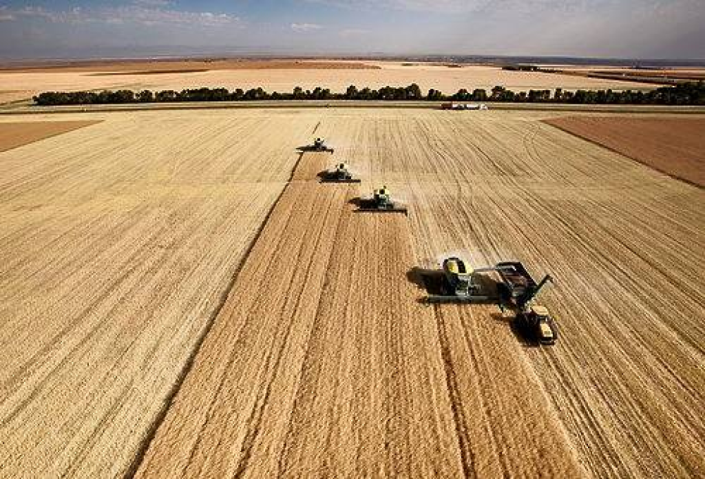 יפתח המרכז לציוד וחומרים יפתח המרכז לציוד וחומרים