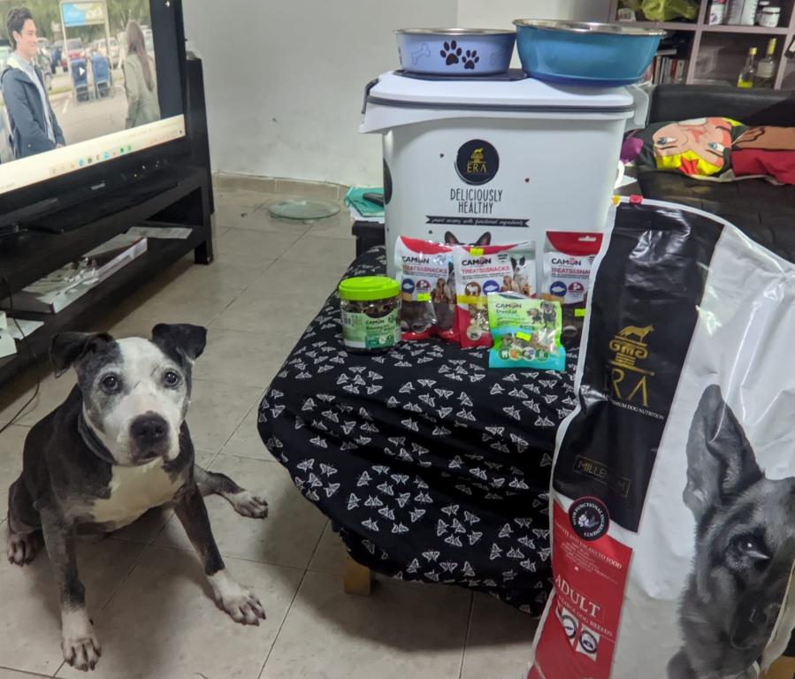 My Dog Food My Dog Food