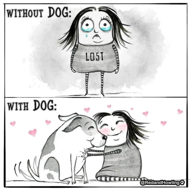 My Dog Food My Dog Food