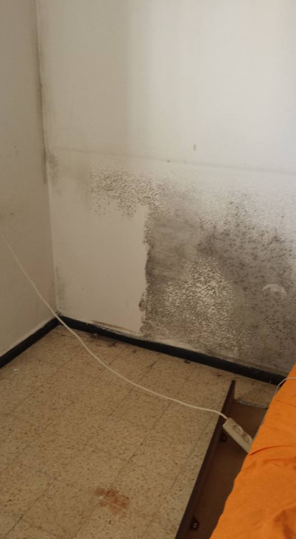 ניקה שיפוצים ניקה שיפוצים