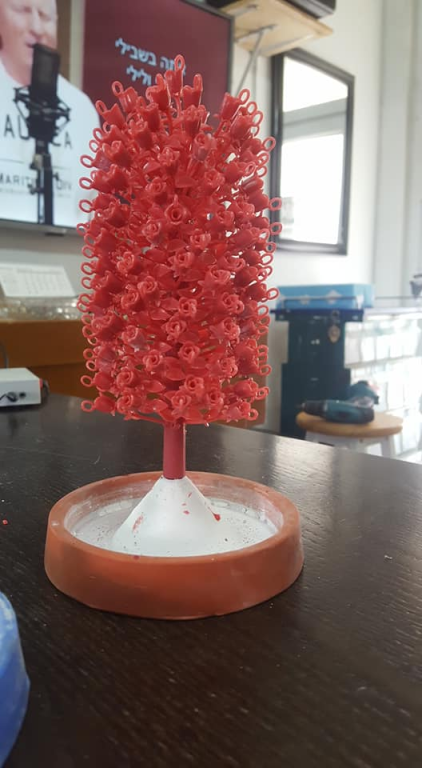 טי אר עיצובים טי אר עיצובים