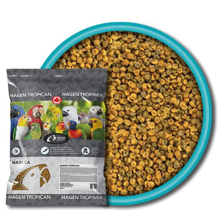 תוכים בעמק תוכים בעמק