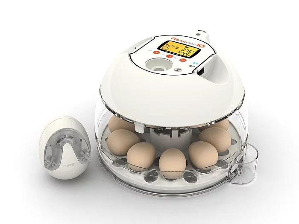 תוכים בעמק תוכים בעמק