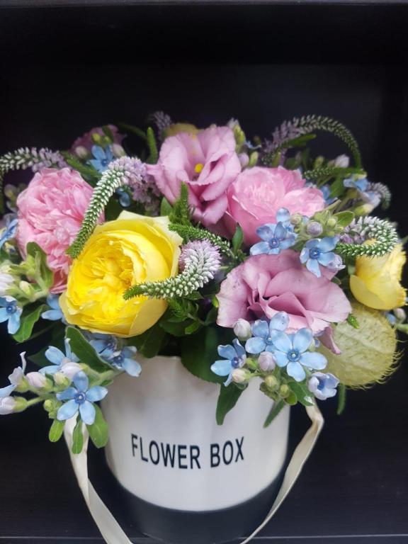 שפת הפרחים שפת הפרחים