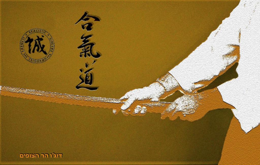 איקידו הר הצופים איקידו הר הצופים