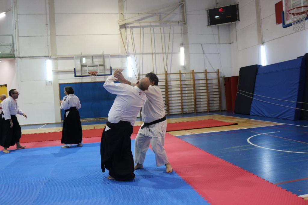 איקידו הר הצופים איקידו הר הצופים