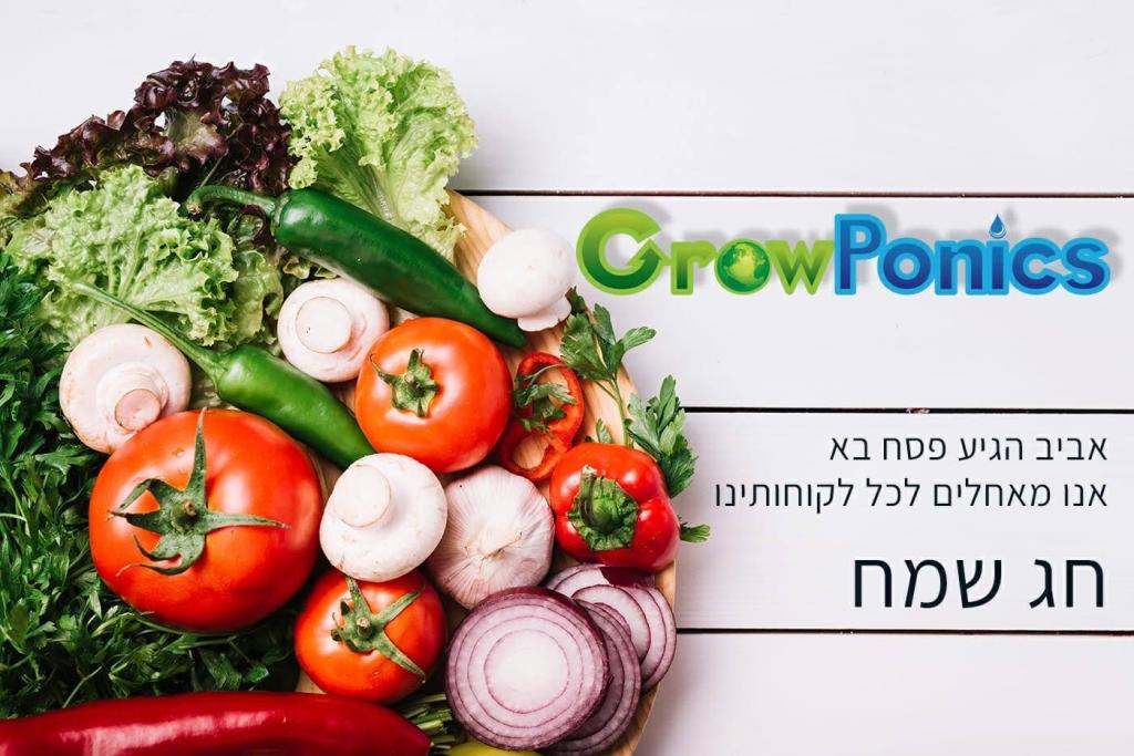 גרופוניקס גרופוניקס