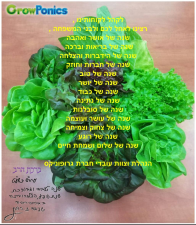 גרופוניקס