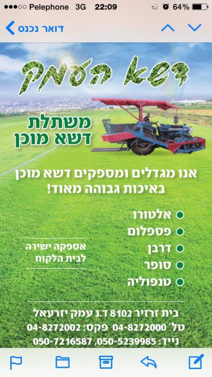 דשא העמק דשא העמק