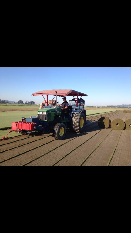 דשא העמק דשא העמק