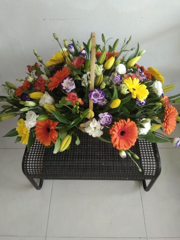 פרחי ברזיל פרחי ברזיל