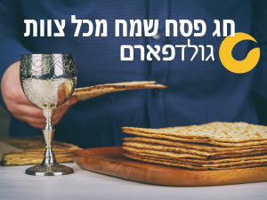 גולדפארם חיתולים למבוגרים ופתרונות לגיל השלישי