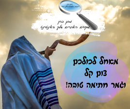 מתן כהן מקדם אתרים