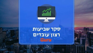 Guru סקרים וייעוץ ארגוני