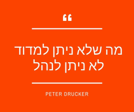 Guru סקרים וייעוץ ארגוני