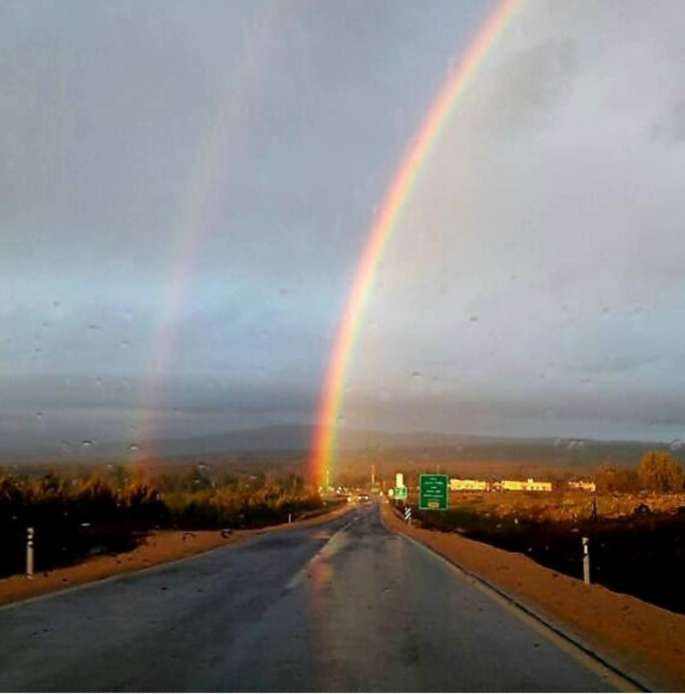 וואסט וואסט