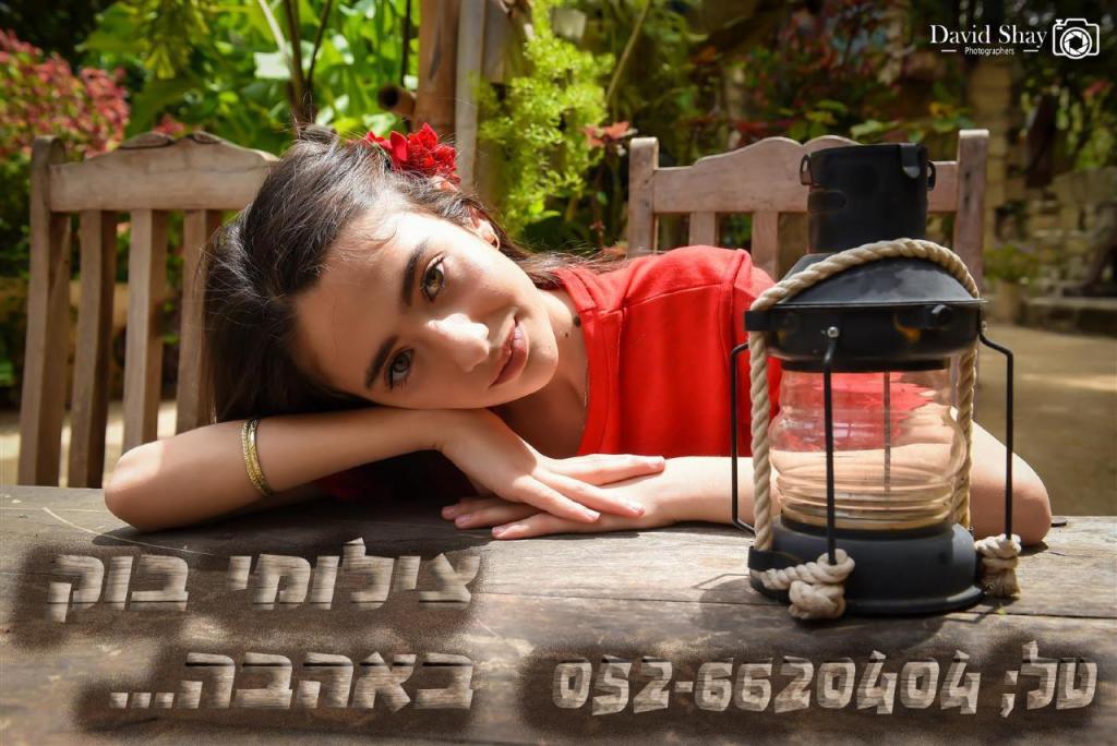 דוד שי דוד שי