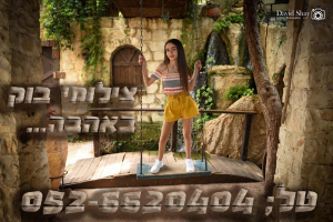 דוד שי